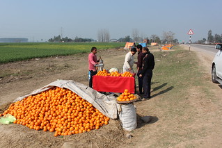 IMG_9426-orange-juice-vendor