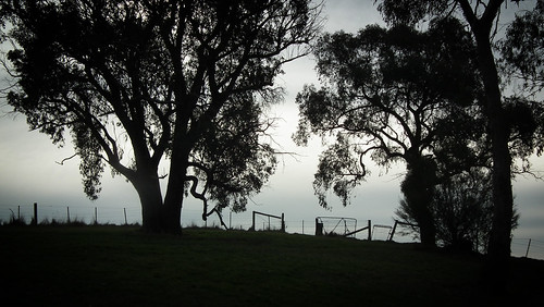 trees sunset sky color home horizontal fence cool gate hill australia melbourne victoria yering lilydale 12c