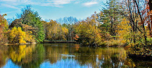 autumn trees lakes parks