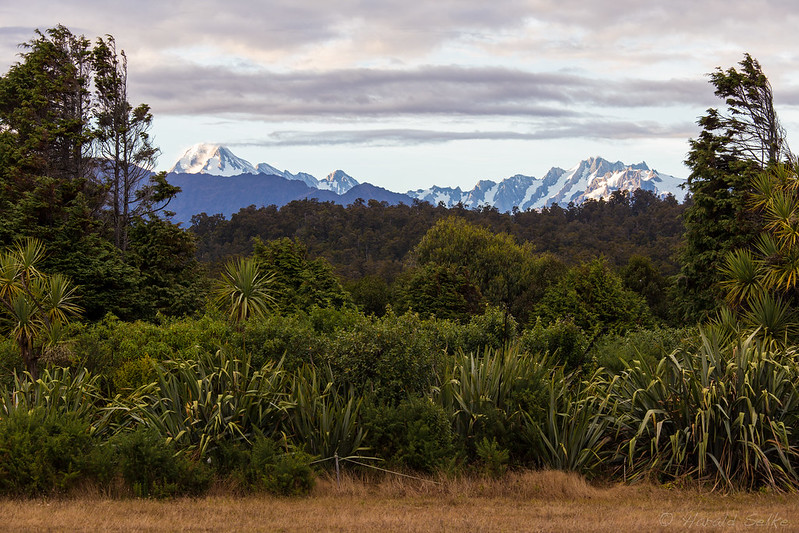 Southern Alps
