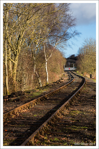 trees winter rust stanley railwaytrack countydurham canonef24105mmf4lis tanfieldrailway