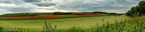 england panorama unitedkingdom pano sony poppies fields a77 moulsford blinkagain slta77