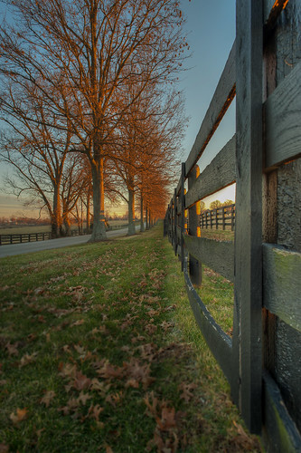 sunrise fence unitedstates lexington kentucky horsefarm plankfence elkchesterroad