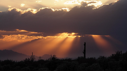 sunset arizona cactus usa desert saguaro sonoran goldcanyon pl5 2013 pinalcounty peraltaroad edk7
