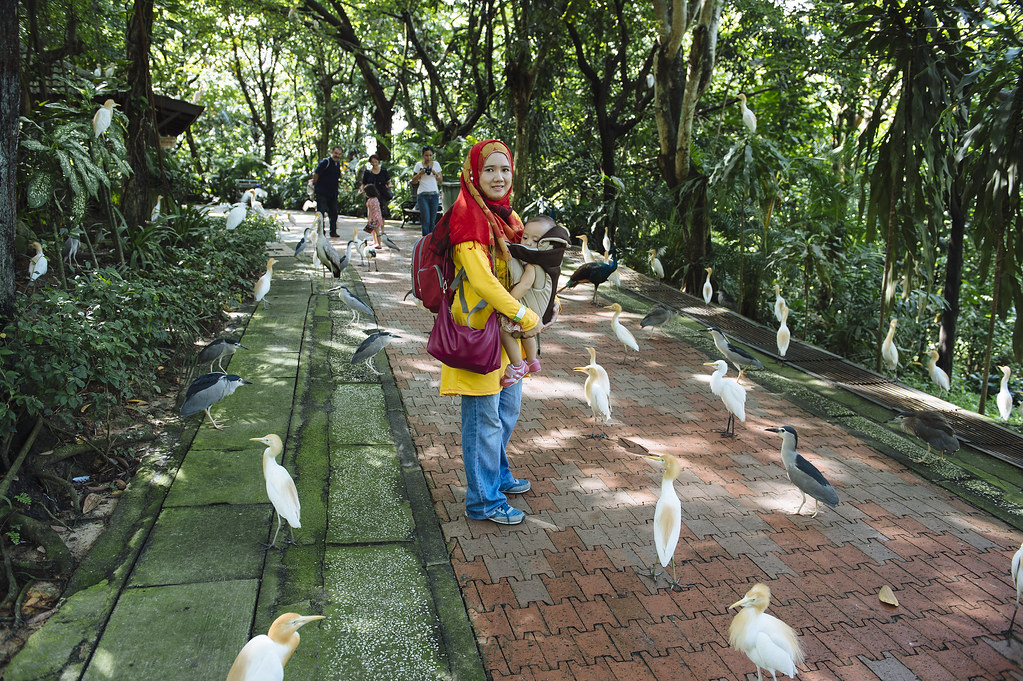Family Outing  School Holidays at Kuala Lumpur Bird Park