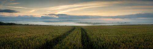 tractor yellow fog sunrise early wheat hidden devon shroud inversion obscure tramline southhams