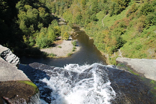 cliff water beautiful forest river fishing famous salmon falls valley