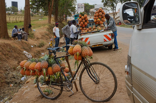 africa summer fruit pineapple zomer afrika uganda ananas x100 mbarara oeganda 2013 westernregion fujifilmx100 inklaar:see=all