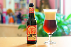 Shed - Mountain Ale