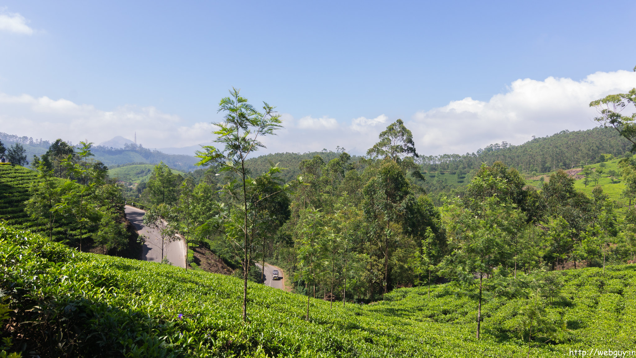 Gorgeous Tea Gardens of Munnar