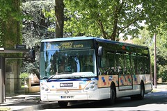 SITAC Bus - Irisbus Citelis n°993 - Ligne 5