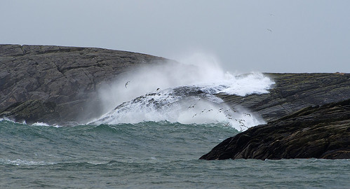 sea storm beach nature norway norge waves seagull northsea sola rogaland waterscape vigdel nikond700