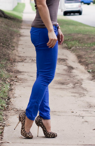 the limited taupe tie knit top asos cobalt blue jeans bakers leopard pumps mk5430 small runway express bangles