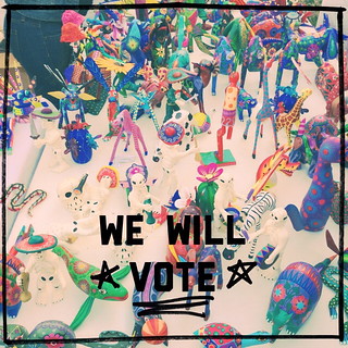 We will vote!