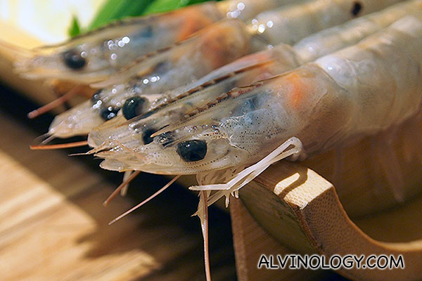 Close-up on the fresh prawns 