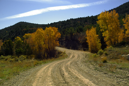 road autumn trees mountains rural landscape utah scenic foliage cottonwoods