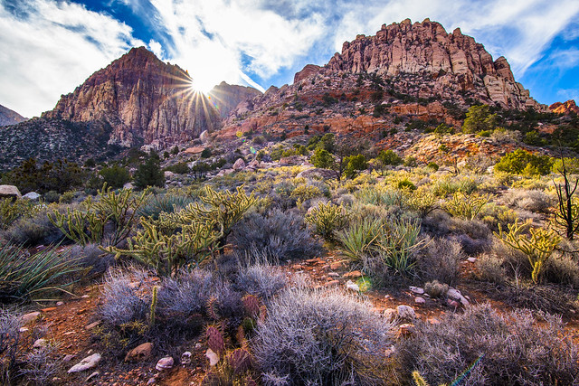 Red Rock Canyon National Conservation Area near Las Vegas, NV