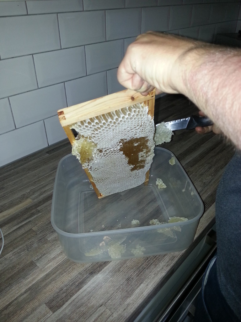 Spring honey extraction