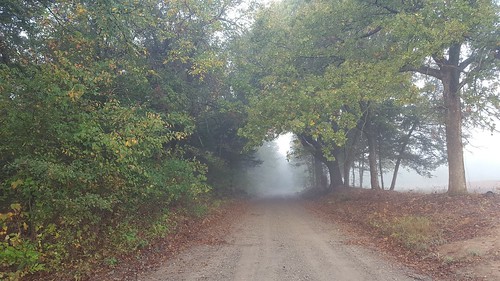 oklahomanature trees farm prairie october fog haunted road