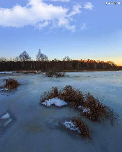 bushes country evening forest frost frozen grass ice lake landscape nature russia sky sun sunset trees winter