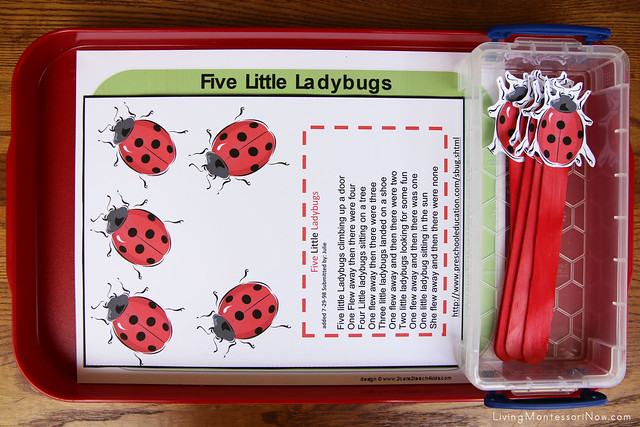 Five Little Ladybugs Tray