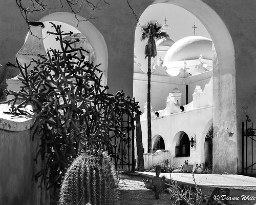 arizona cactus church architecture blackwhite arch palm mission sahuarita projectflickr nikond7000 ©diannewhite