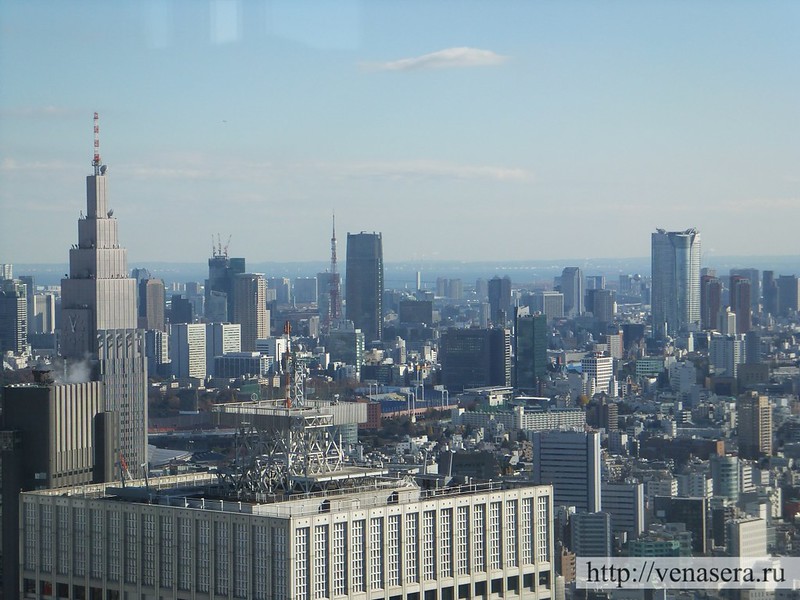 Вид со смотровой площадки Токийской мэрии