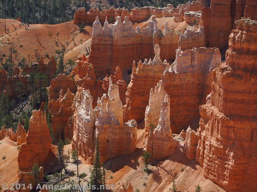 Views of spires from the Rim Trail between Sunset and Sunrise Points in Bryce Canyon National Park, Utah