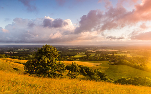 uk morning blue trees light england green rain clouds rural sunrise sussex countryside chalk westsussex country hill windy wideangle fields southdowns bucolic ditchling