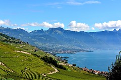 Région Vevey-Montreux