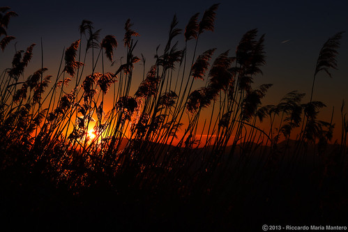 sunset red sky sun set vegetation riccardo mantero afsvrzoomnikkor70300mmf4556gifed