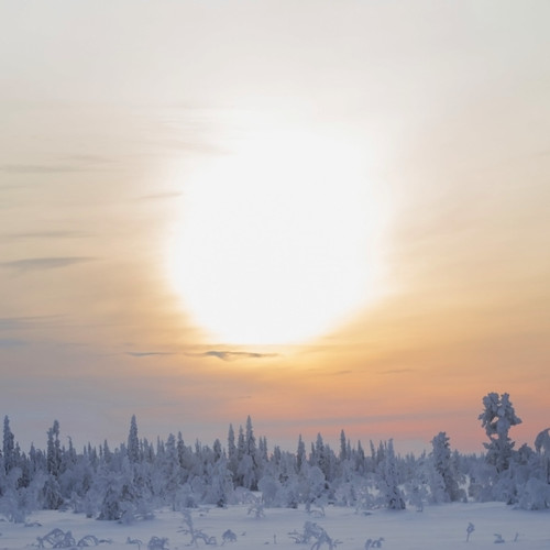 winter sunset sky sun snow cold ice twilight sweden arctic lapland porjus shortdays
