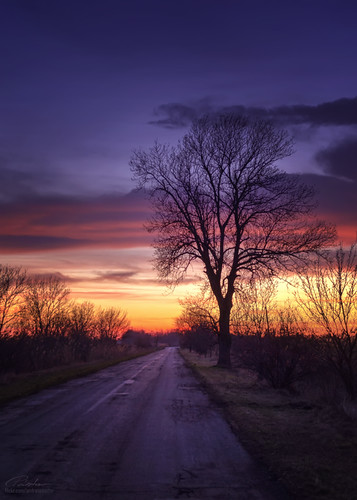 road light sunset tree clouds lens nikon hungary kit 1855 gress suns andrás pásztor d5100