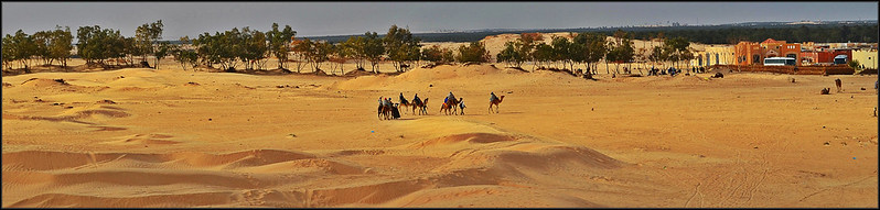 Mon Tour D'Algérie: Argelia, Túnez y Francia a pedales. (CONSTRUCCIÓN) - Blogs - El espectacular festival del Sahara. (49)