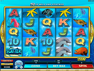 Dolphin Coast Slot Machine
