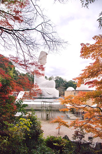 【写真】2012 紅葉 : 高台寺/2021-04-05/IMGP8040