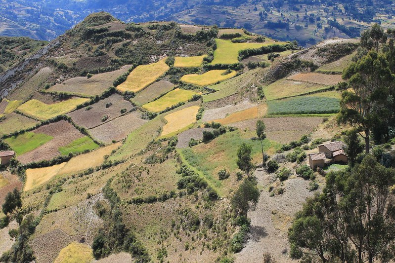 Fields near Pomabamba