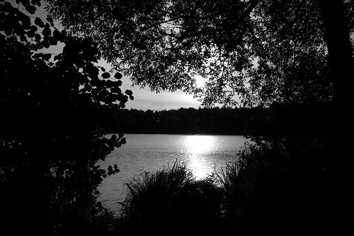 light blackandwhite lake reflection landscape see licht sonnenuntergang sundown schwarzweiss landschaft schleswigholstein bordesholm bordesholmersee