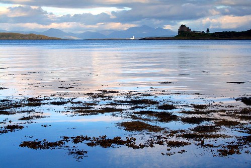 sea cloud seaweed reflection castle water evening coast scotland seaside calm isleofmull mull seashore lismore duart craignure torosay