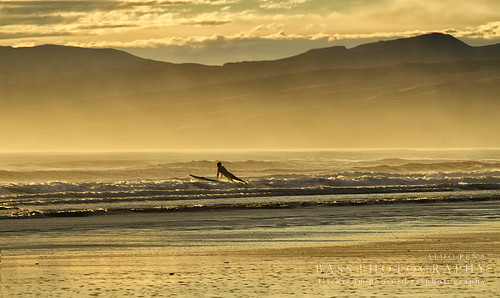 ocean morning sea newzealand christchurch beach sunrise surf waves surfer canterbury pacificocean seamist newbrighton