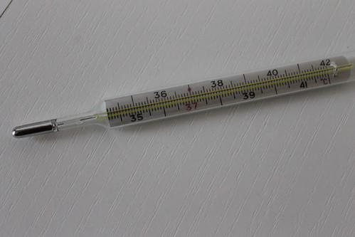Rtuťový teploměr; Mediacal mercury-in-glass thermometer