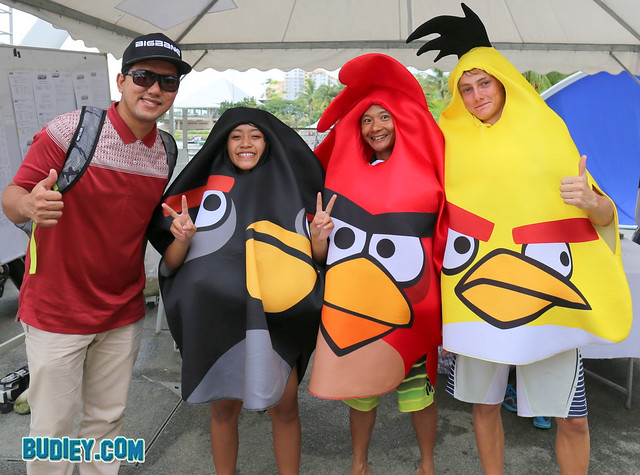 Budiey Angry Birds