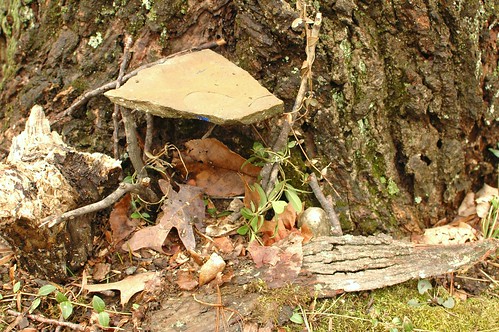 Fairy Houses & Other Treasures