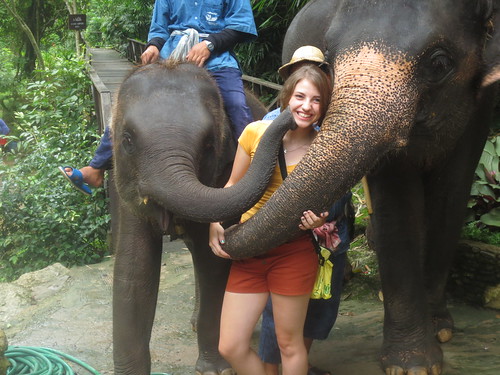 Teaching English in Thailand - and elephants!