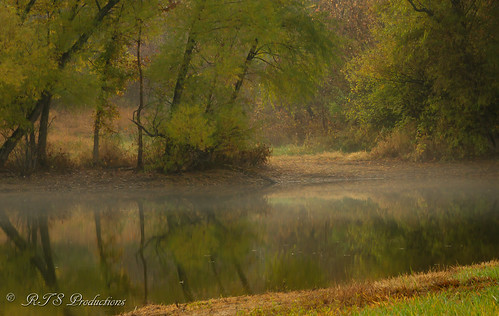wood autumn trees fall nature water leaves sunrise canon landscape outdoors morninglight pond october cloudy fallcolors overcast 7d cloudysky buschwildlife canon7d