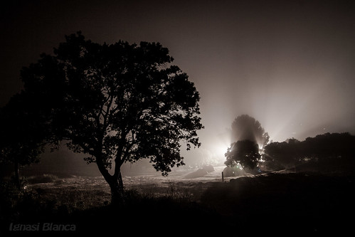 blackandwhite bw white mist blancoynegro fog night canon dark landscape eos lights noche nocturna nit 50d olèrdola