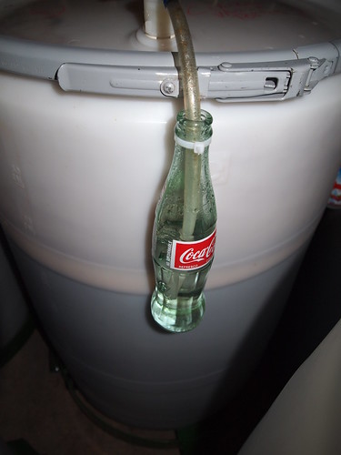 Fermenting, things go better with Coke.