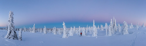 pink blue winter panorama snow sunrise finland paul twilight skiing lapland posio riisitunturi tykky