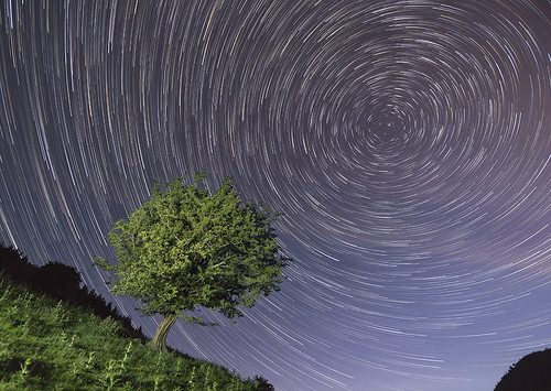 sky tree field stars landscape nightscape clear astrophotography valley nigth lonetree bala startrails polaris