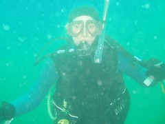 Diving: Vobster Quay (22-Jul-06) Image